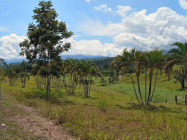 parque